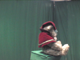 225 Degrees _ Picture 9 _ Teddy Bear Wearing Red Cape.png